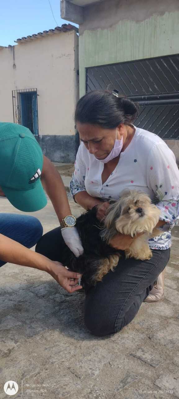 Camacã: Prefeitura realiza campanha de Vacinação antirrábica